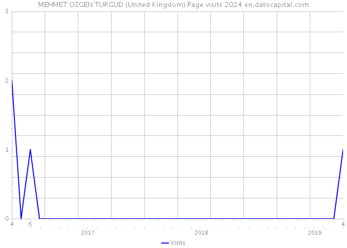 MEHMET OZGEN TURGUD (United Kingdom) Page visits 2024 