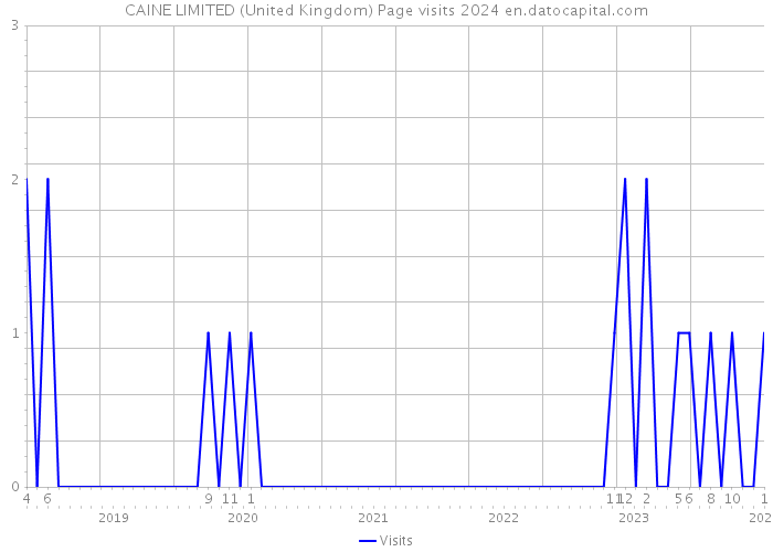 CAINE LIMITED (United Kingdom) Page visits 2024 