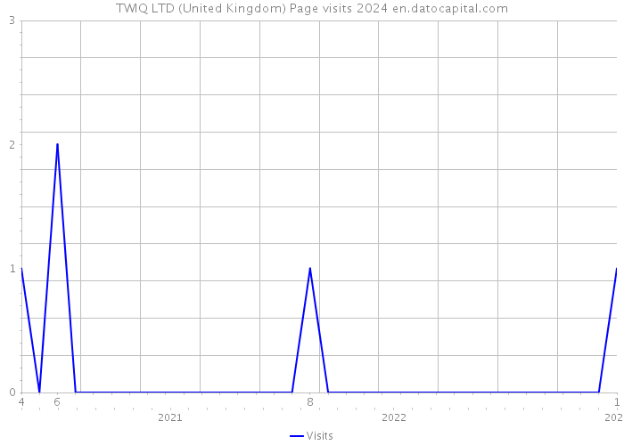 TWIQ LTD (United Kingdom) Page visits 2024 