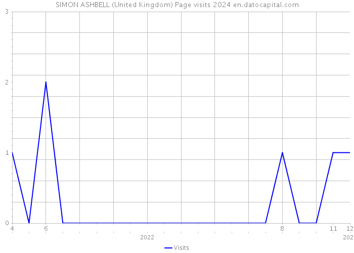 SIMON ASHBELL (United Kingdom) Page visits 2024 