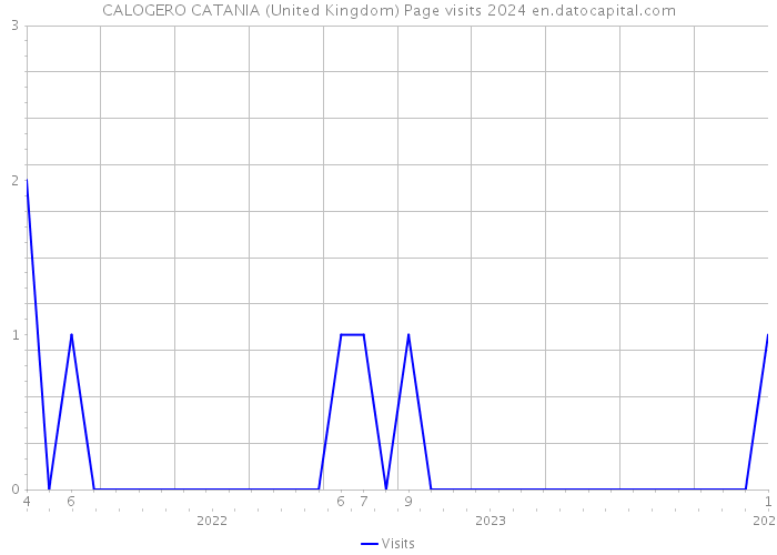 CALOGERO CATANIA (United Kingdom) Page visits 2024 