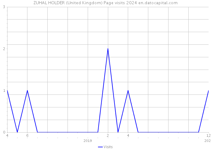 ZUHAL HOLDER (United Kingdom) Page visits 2024 