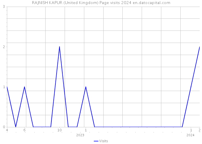 RAJNISH KAPUR (United Kingdom) Page visits 2024 