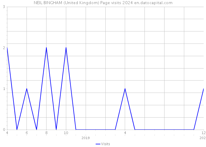 NEIL BINGHAM (United Kingdom) Page visits 2024 
