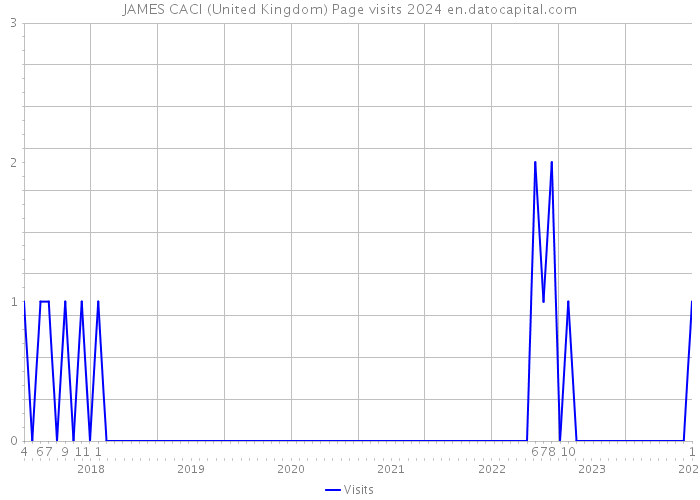 JAMES CACI (United Kingdom) Page visits 2024 