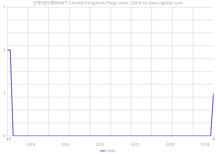 STEVEN BERNAT (United Kingdom) Page visits 2024 