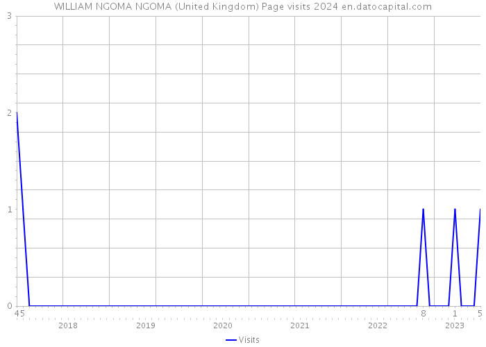 WILLIAM NGOMA NGOMA (United Kingdom) Page visits 2024 