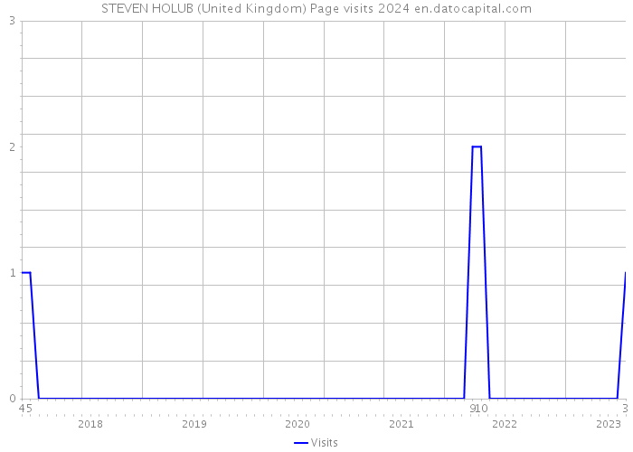 STEVEN HOLUB (United Kingdom) Page visits 2024 