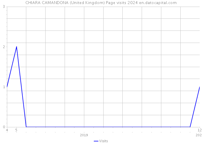 CHIARA CAMANDONA (United Kingdom) Page visits 2024 
