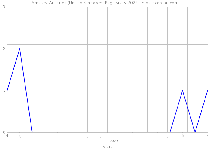 Amaury Wittouck (United Kingdom) Page visits 2024 
