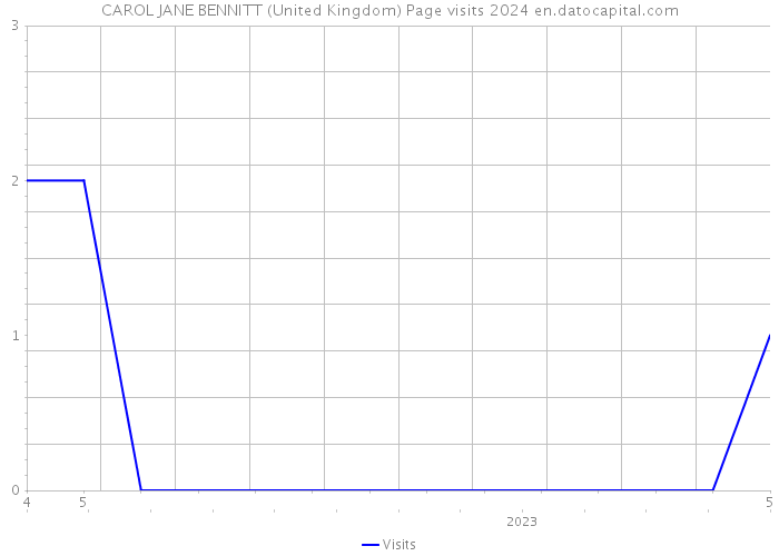 CAROL JANE BENNITT (United Kingdom) Page visits 2024 