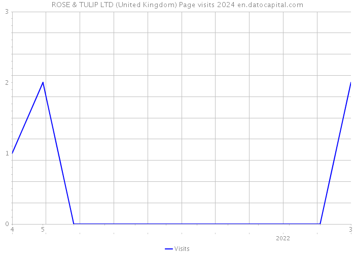 ROSE & TULIP LTD (United Kingdom) Page visits 2024 