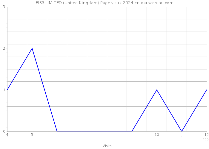 FIBR LIMITED (United Kingdom) Page visits 2024 