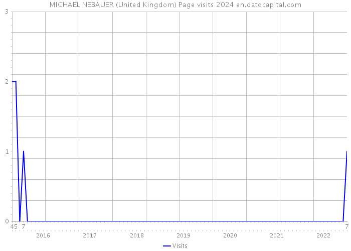 MICHAEL NEBAUER (United Kingdom) Page visits 2024 