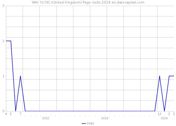 WAI YU NG (United Kingdom) Page visits 2024 