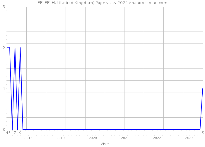 FEI FEI HU (United Kingdom) Page visits 2024 