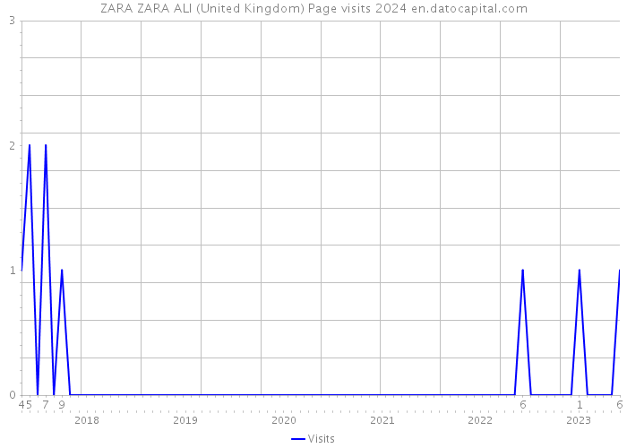 ZARA ZARA ALI (United Kingdom) Page visits 2024 