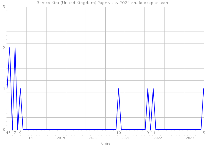 Remco Kint (United Kingdom) Page visits 2024 