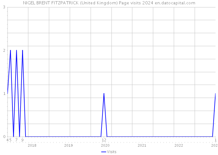 NIGEL BRENT FITZPATRICK (United Kingdom) Page visits 2024 