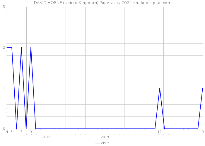DAVID HORNE (United Kingdom) Page visits 2024 