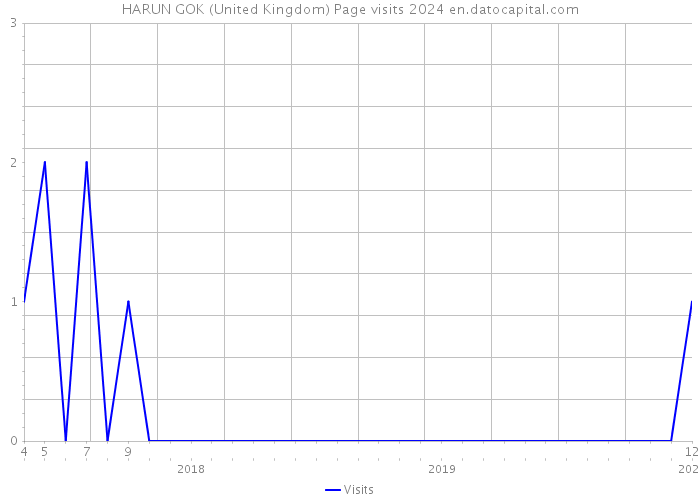 HARUN GOK (United Kingdom) Page visits 2024 