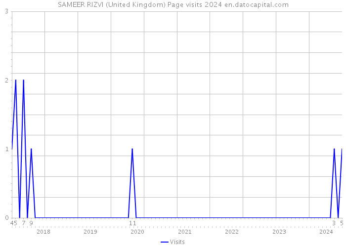 SAMEER RIZVI (United Kingdom) Page visits 2024 
