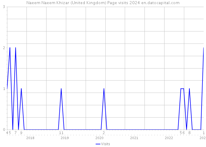 Naeem Naeem Khizar (United Kingdom) Page visits 2024 
