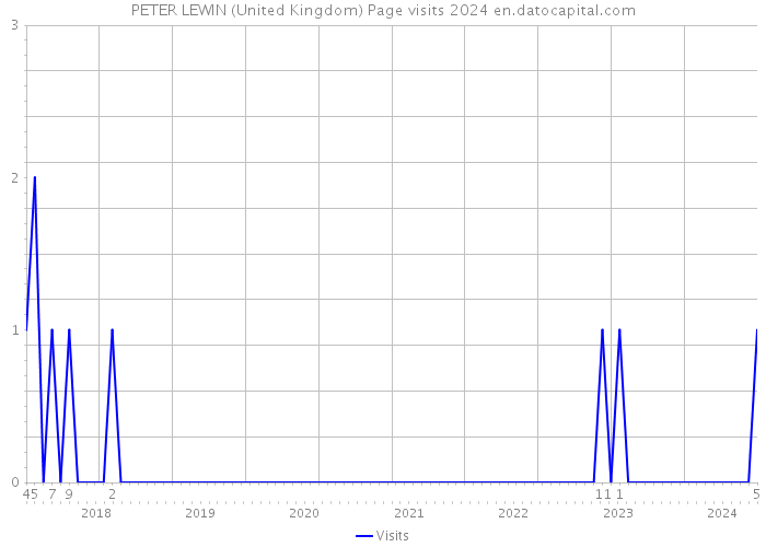 PETER LEWIN (United Kingdom) Page visits 2024 