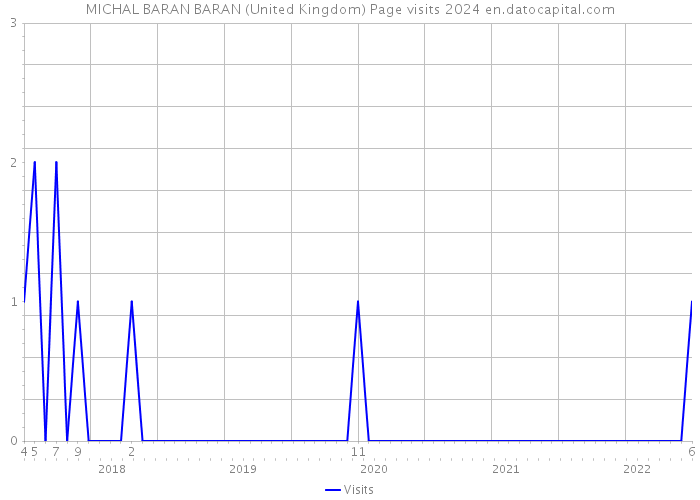 MICHAL BARAN BARAN (United Kingdom) Page visits 2024 