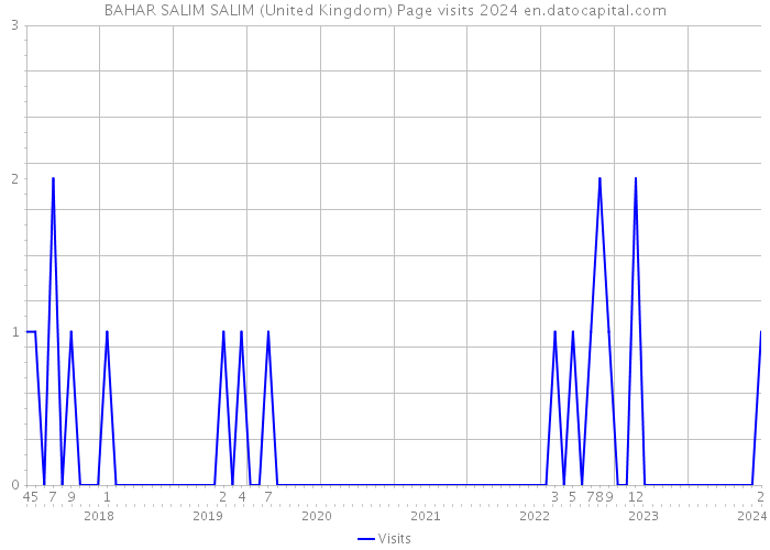 BAHAR SALIM SALIM (United Kingdom) Page visits 2024 