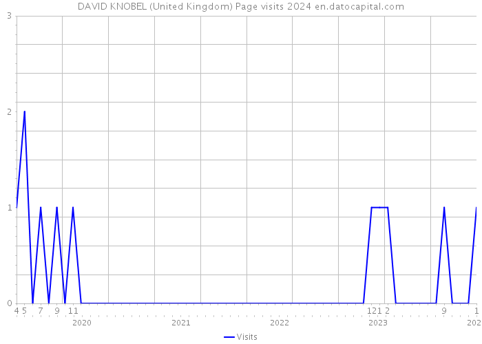 DAVID KNOBEL (United Kingdom) Page visits 2024 