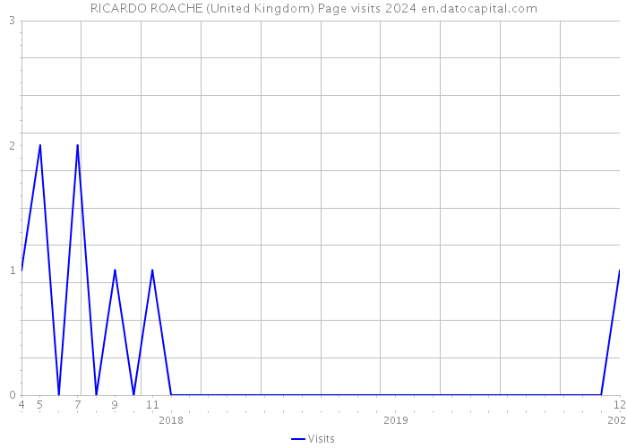 RICARDO ROACHE (United Kingdom) Page visits 2024 