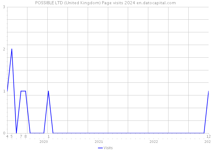 POSSIBLE LTD (United Kingdom) Page visits 2024 
