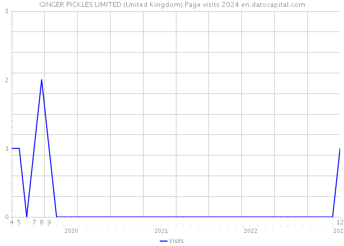 GINGER PICKLES LIMITED (United Kingdom) Page visits 2024 