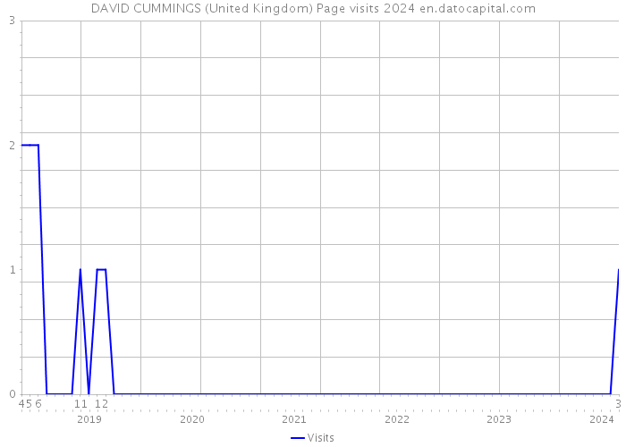 DAVID CUMMINGS (United Kingdom) Page visits 2024 