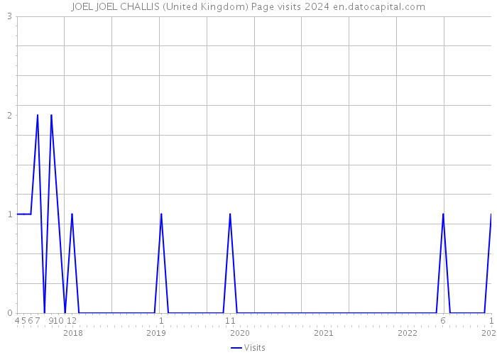 JOEL JOEL CHALLIS (United Kingdom) Page visits 2024 