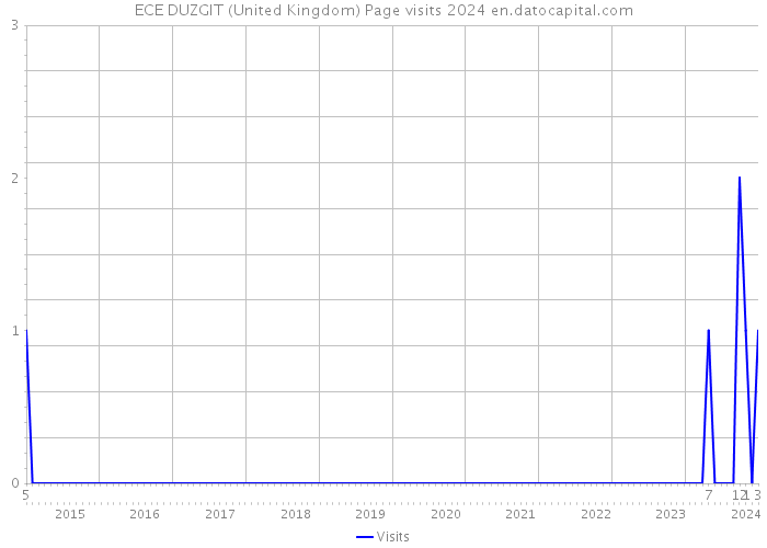 ECE DUZGIT (United Kingdom) Page visits 2024 