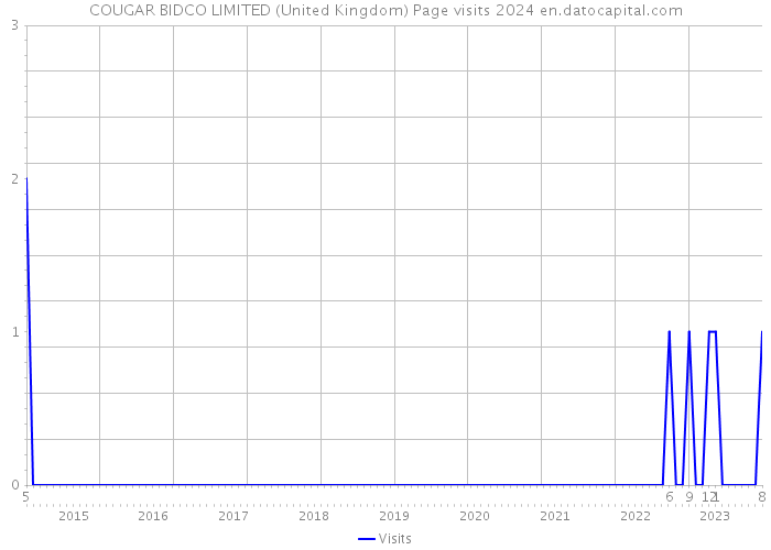 COUGAR BIDCO LIMITED (United Kingdom) Page visits 2024 