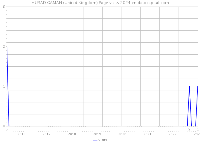 MURAD GAMAN (United Kingdom) Page visits 2024 