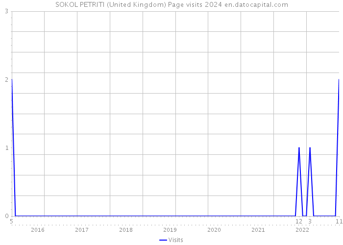 SOKOL PETRITI (United Kingdom) Page visits 2024 