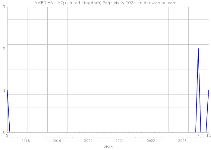 AMER HALLAQ (United Kingdom) Page visits 2024 