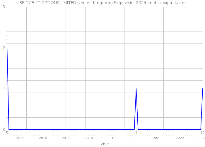 BRIDGE-IT OPTIONS LIMITED (United Kingdom) Page visits 2024 