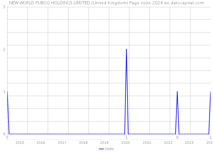 NEW WORLD PUBCO HOLDINGS LIMITED (United Kingdom) Page visits 2024 