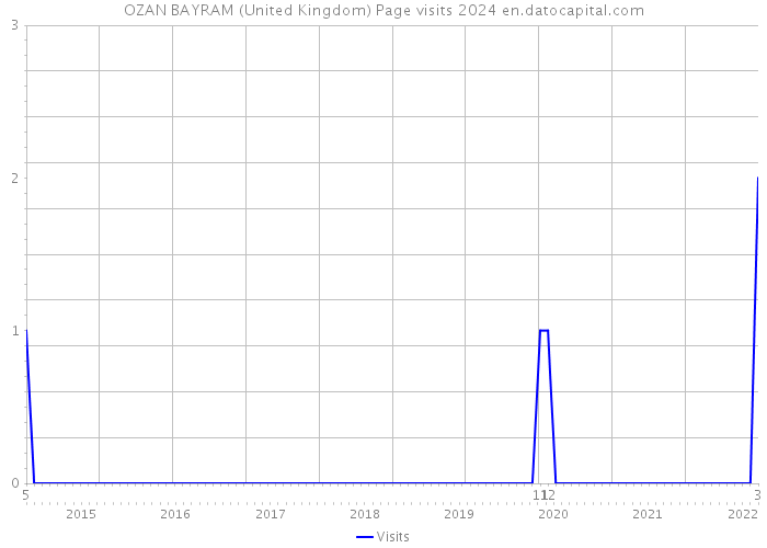 OZAN BAYRAM (United Kingdom) Page visits 2024 