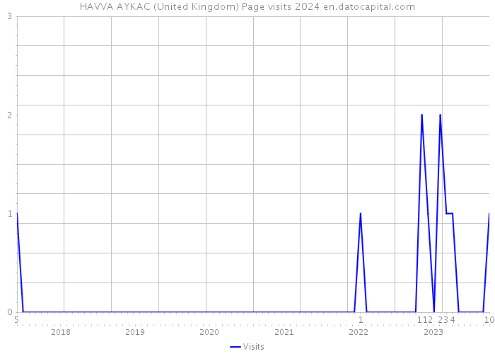 HAVVA AYKAC (United Kingdom) Page visits 2024 