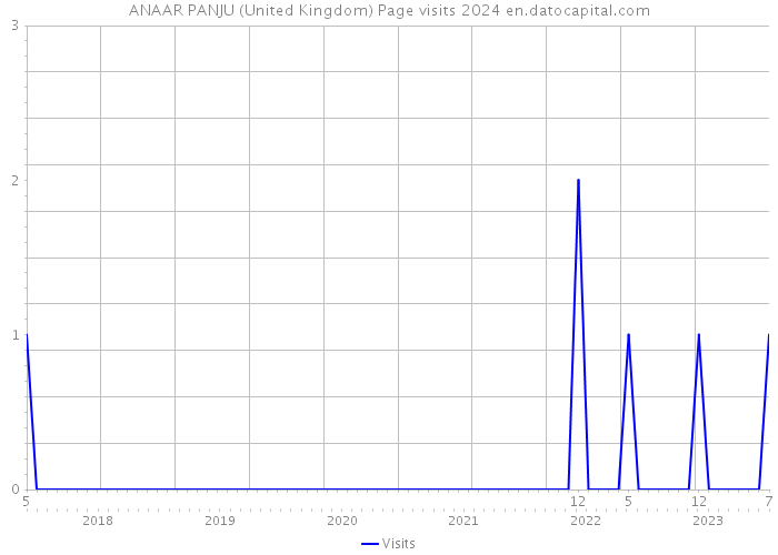 ANAAR PANJU (United Kingdom) Page visits 2024 