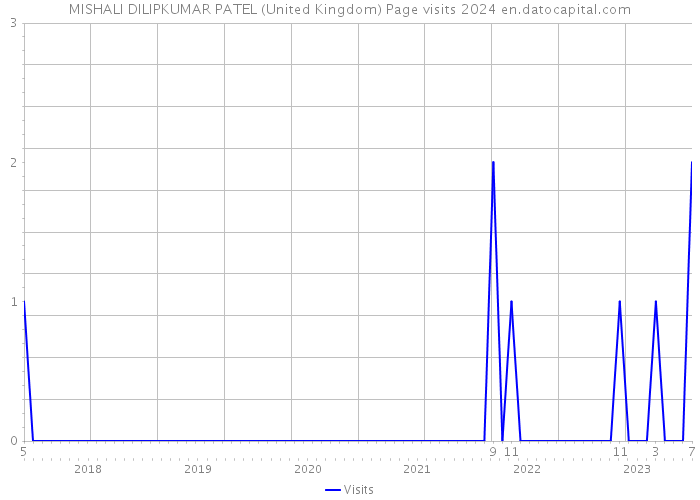 MISHALI DILIPKUMAR PATEL (United Kingdom) Page visits 2024 