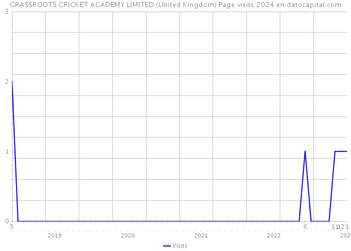GRASSROOTS CRICKET ACADEMY LIMITED (United Kingdom) Page visits 2024 