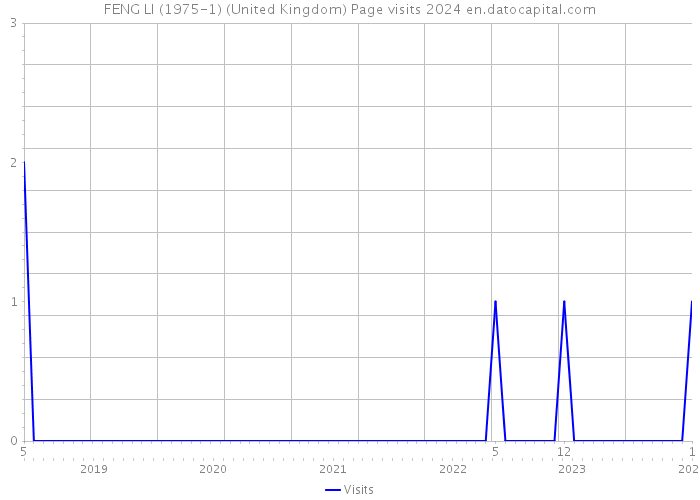 FENG LI (1975-1) (United Kingdom) Page visits 2024 