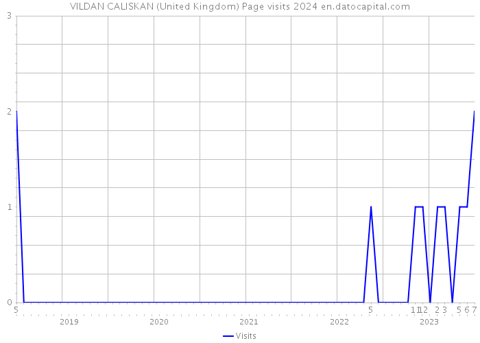 VILDAN CALISKAN (United Kingdom) Page visits 2024 